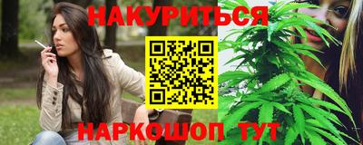 хмурый Тула