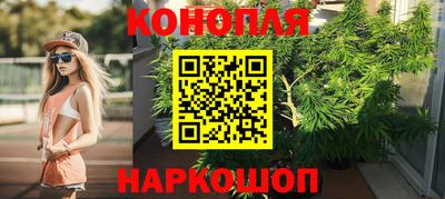 хмурый Тула