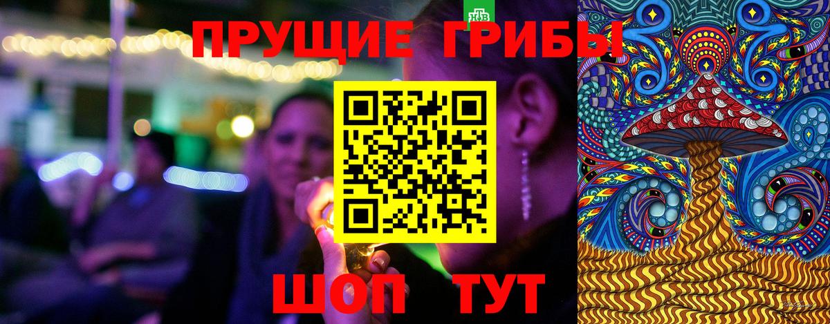 Псилоцибиновые грибы Cubensis Борисоглебск